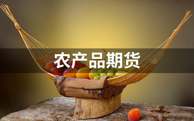  农产品春播行情开启，豆粕玉米机会解析