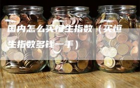 国内怎么买恒生指数（买恒生指数多钱一手）