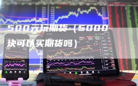 500元玩期货（5000块可以买期货吗）