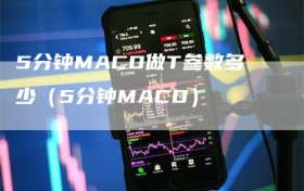 5分钟MACD做T参数多少（5分钟MACD）