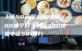 上证50沪深300中证500哪个好（沪深300还是中证500好）