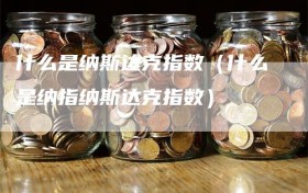 什么是纳斯达克指数（什么是纳指纳斯达克指数）