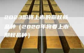 2023即将上市的期权新品种（2020年将要上市期权品种）