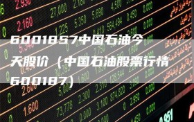 6001857中国石油今天股价（中国石油股票行情600187）