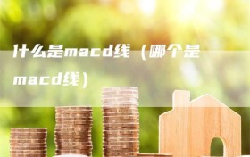 什么是macd线（哪个是macd线）