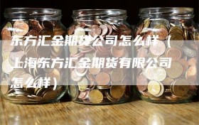 东方汇金期货公司怎么样（上海东方汇金期货有限公司怎么样）