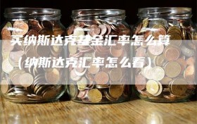 买纳斯达克基金汇率怎么算（纳斯达克汇率怎么看）