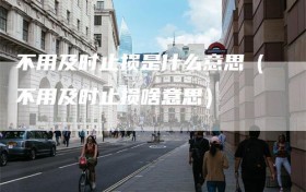 不用及时止损是什么意思（不用及时止损啥意思）