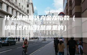 什么是纳斯达克金龙指数（纳斯达克指数是哪里的）