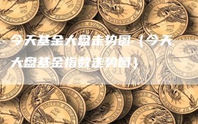 今天基金大盘走势图（今天大盘基金指数走势图）