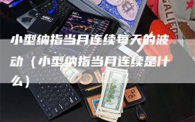 小型纳指当月连续每天的波动（小型纳指当月连续是什么）