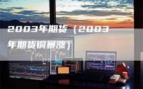 2003年期货（2003年期货铜暴涨）