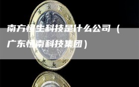 南方恒生科技是什么公司（广东恒南科技集团）