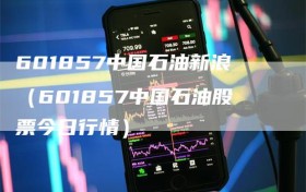 601857中国石油新浪（601857中国石油股票今日行情）