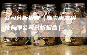 公司分析报告（湖南惠农科技有限公司分析报告）