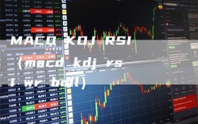 MACD KDJ RSI（macd kdj rsi wr boll）