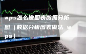 wps怎么做图表数据分析图（数据分析图表做法 wps）