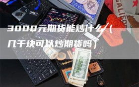 3000元期货能炒什么（几千块可以炒期货吗）