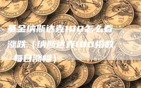 基金纳斯达克100怎么看涨跌（纳斯达克100指数 每日涨幅）