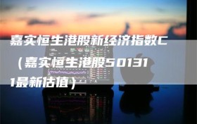 嘉实恒生港股新经济指数C（嘉实恒生港股501311最新估值）