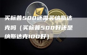 买标普500还需买纳斯达克吗（买标普500好还是纳斯达克100好）