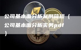 公司基本面分析案例简短（公司基本面分析实务pdf）