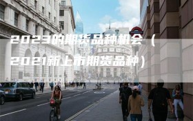 2023的期货品种机会（2021新上市期货品种）