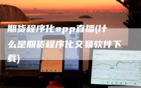 期货程序化app直播(什么是期货程序化交易软件下载)