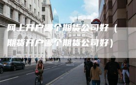 网上开户哪个期货公司好（期货开户哪个期货公司好）