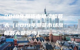 2019年期货市场涨幅最大（2019年期货市场涨幅最大是多少）