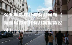 弘业期货在新疆有公司吗（新疆乌鲁木齐有几家期货公司）