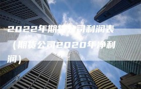 2022年期货公司利润表（期货公司2020年净利润）