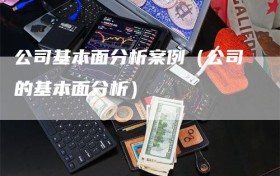 公司基本面分析案例（公司的基本面分析）