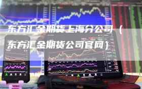 东方汇金期货上海分公司（东方汇金期货公司官网）