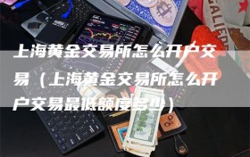 上海黄金交易所怎么开户交易（上海黄金交易所怎么开户交易最低额度多少）