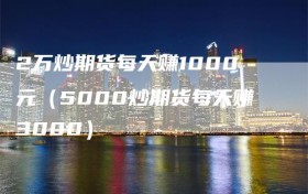 2万炒期货每天赚1000元（5000炒期货每天赚3000）