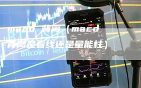 macd 背离（macd背离是看线还是量能柱）