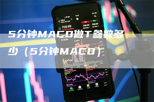 5分钟MACD做T参数多少（5分钟MACD）