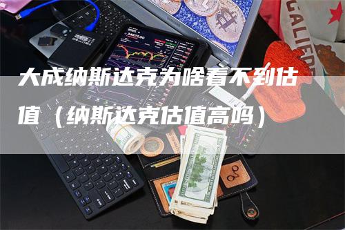 大成纳斯达克为啥看不到估值（纳斯达克估值高吗）