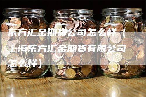 东方汇金期货公司怎么样（上海东方汇金期货有限公司怎么样）