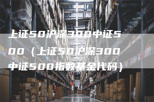 上证50沪深300中证500（上证50沪深300中证500指数基金代码）