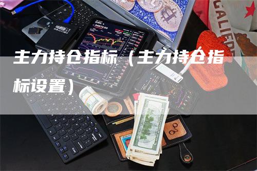 主力持仓指标（主力持仓指标设置）