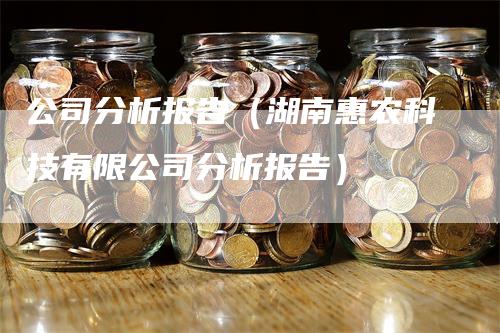 公司分析报告（湖南惠农科技有限公司分析报告）