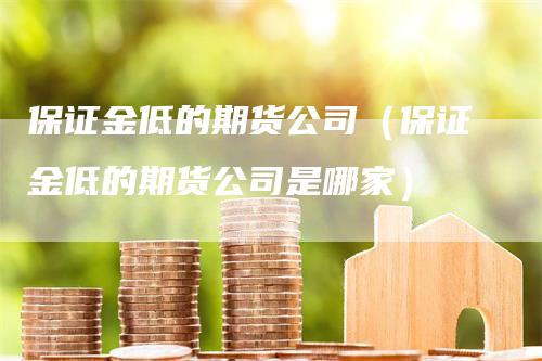 保证金低的期货公司（保证金低的期货公司是哪家）