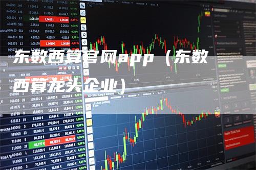 东数西算官网app（东数西算龙头企业）