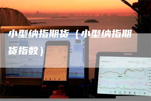 小型纳指期货（小型纳指期货指数）