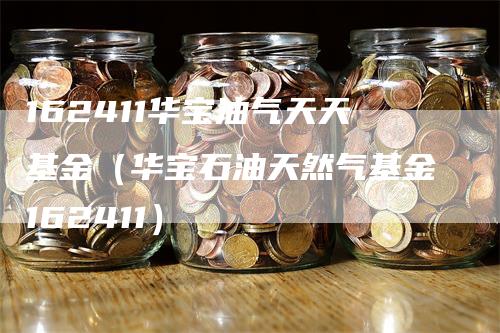 162411华宝油气天天基金（华宝石油天然气基金162411）