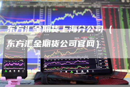 东方汇金期货上海分公司（东方汇金期货公司官网）