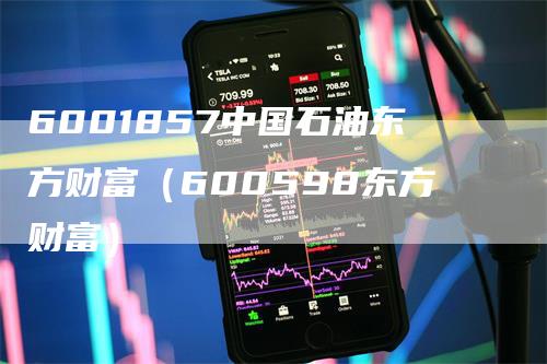 6001857中国石油东方财富（600598东方财富）